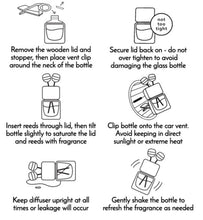 Load image into Gallery viewer, Signature Scents Car Diffuser