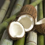 Bamboo and Coconut